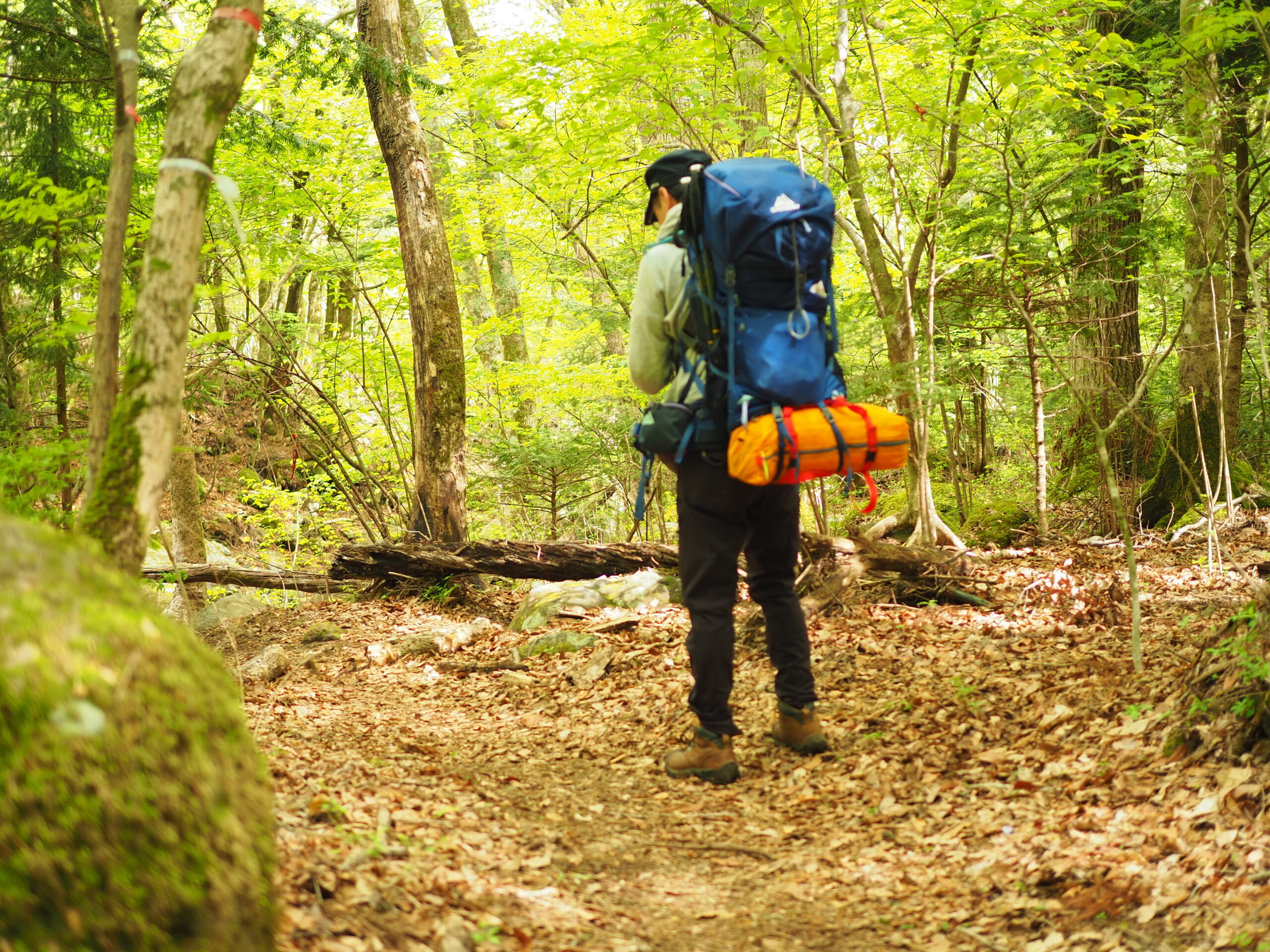 初心者にもお勧め定年後の趣味にも　日帰りで楽める登山